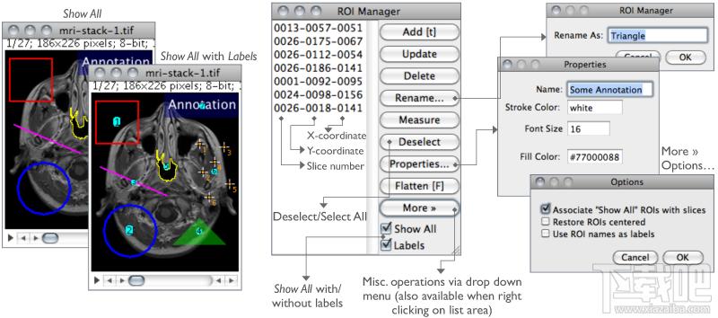 ImageJ For Linux x64,ImageJ下载,ImageJ免费版,免费开源